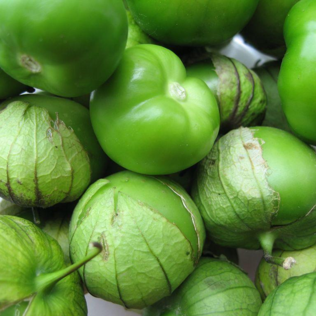 Tomate de cáscara otoño